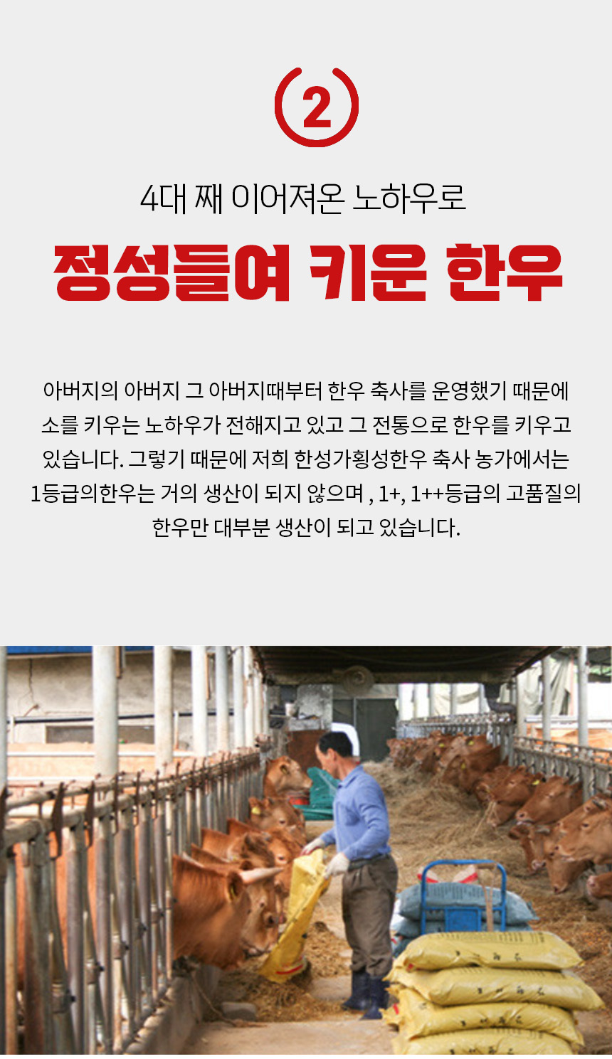 12p.jpg